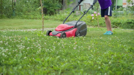 man is working with lawn mower in the yard in the summer. Lawn mower is mowing grass on the plot