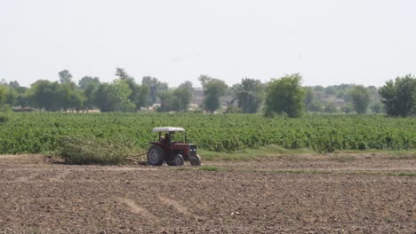 Corn-crop-irrigation-using-the-center-pivot-sprinkler-system