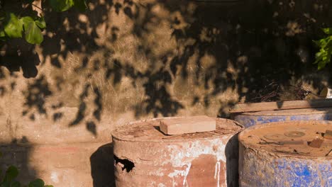 shadow from the leaves of a tree projected to a wall beside 3 construction barrels and a brick