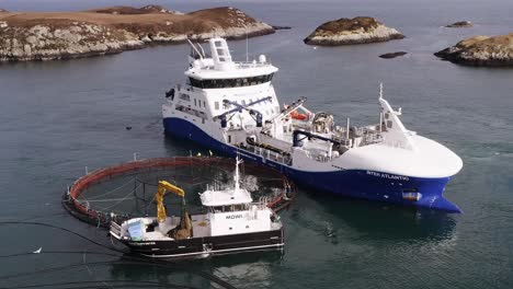 Wide,-circling-drone-shot-of-a-fish-farming-well-boat-anchored-to-a-cage