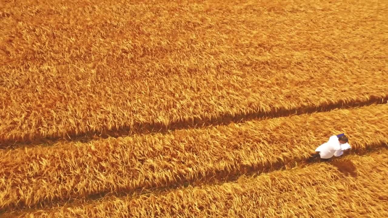 vista aérea de un científico caminando por los campos