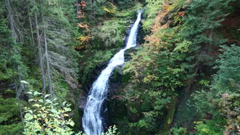 beautiful waterfall in the mountains and forest