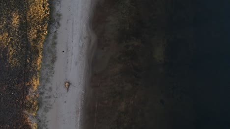 high point of view in bird's eye of a shoreline on an older lake