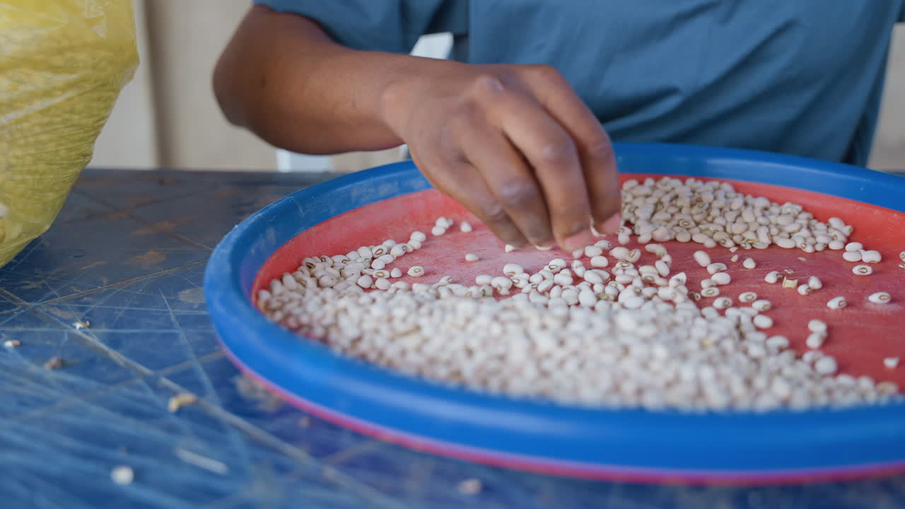 Black hands sifting white beans on red sieve at blue table, measured gentle motions, meal prep and tactile quality check by home cook, calm domestic scene with closeup focus on texture and care