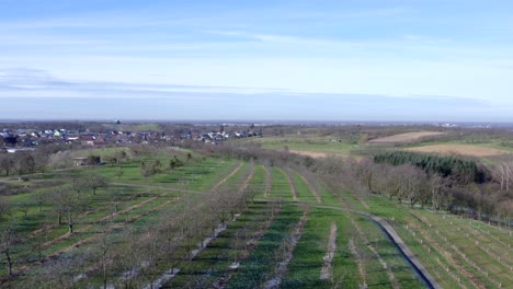 Vista-Aérea-De-La-Campiña-De-Ortenau-Con-Estrasburgo-Al-Fondo.