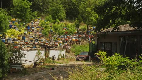 reveal shot of colourful bulgarian beehive on apiculture farm on hillside