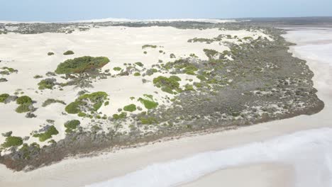 drone aéreo sobre el lago rosa macdonnell y las dunas de arena en el sur de australia