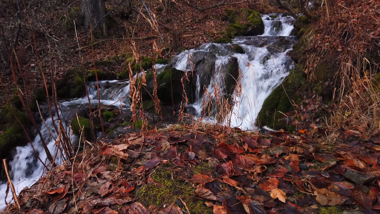 suelo forestal cubierto de hojas y musgo frente a una cascada en falls creek en el parque estatal chugach a finales de otoño cerca de anclaje alaska