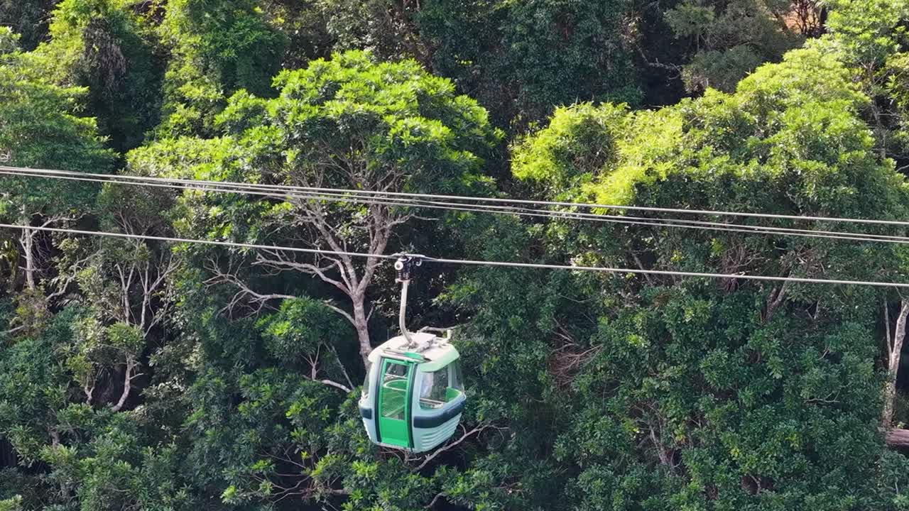 Una telecabina verde viaggia su cavi d'acciaio sopra una lussureggiante e vibrante chioma di foresta tropicale.