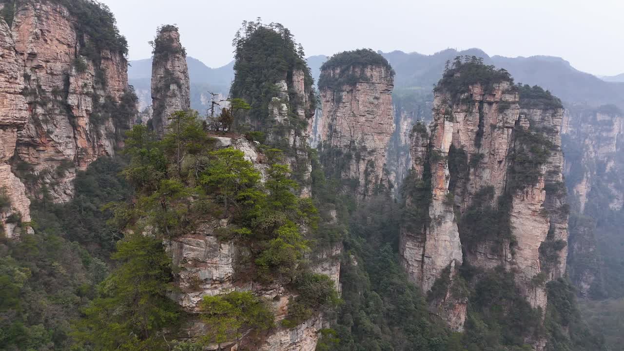 A sweeping drone shot of Zhangjiajie's towering rock pillars, showcasing the lush forests and dramatic formations that define this iconic Chinese landscape