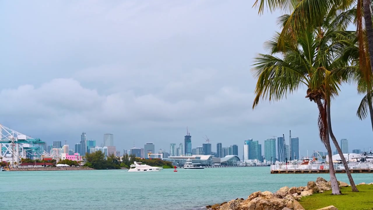 Skyline di Miami sulla Baia di Biscayne con palme. Vista della Baia di Biscayne con palme, barche, gru portuali e lo skyline di Miami in lontananza sotto un cielo nuvoloso.