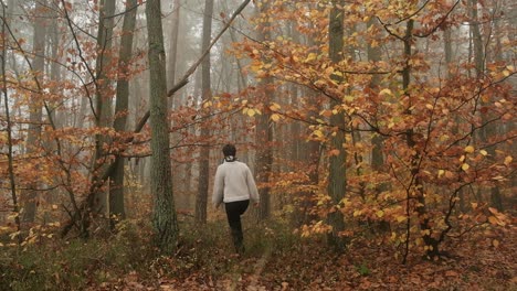 Female-walking-in-forest-in-autumn-forest-at-foggy-day