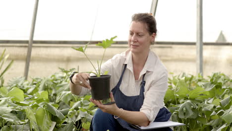 woman tending plants in greenhouse, focused on nurturing green foliage