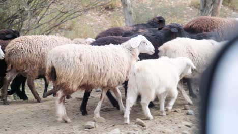 Fahren-Und-Reisen-Durch-Das-Erstaunliche-Barskoon-tal-In-Kirgisistan-In-Zentralasien