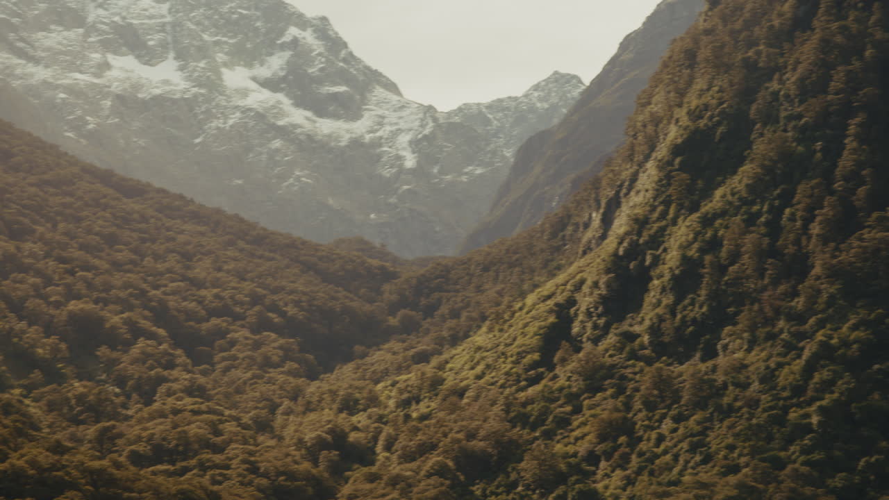 Majestic Mountains and Lush Forest Valley