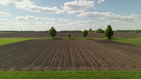 agriculture farm fields growing in nature,plow ground, soil for sowing, aerial low angle flight.