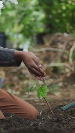 video vertical de un niño afroamericano regando plantas en el jardín