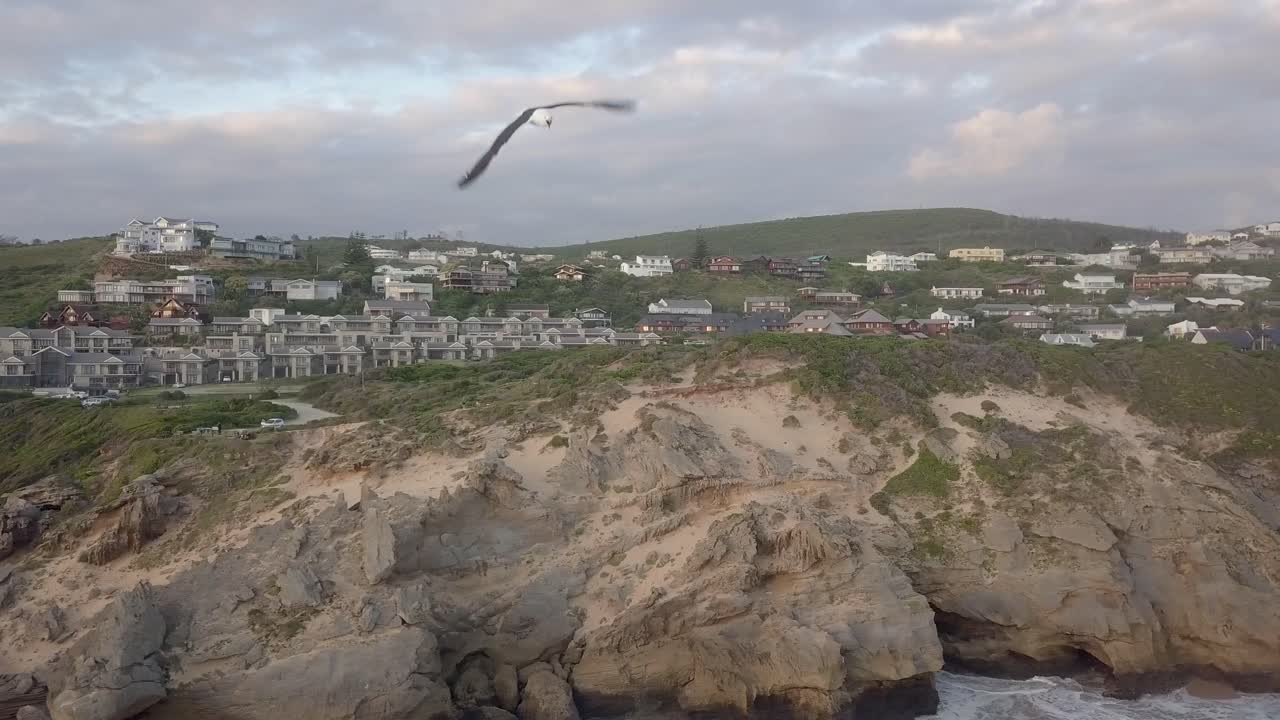 갈매기 공격, 공중과 바다에 브렌튼에서 가파른 거친 해안선