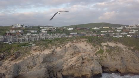 costa escarpada y escarpada en brenton en el mar con ataque de gaviotas, antena