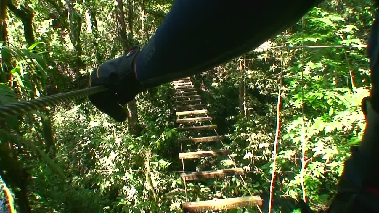 una toma de pov de un hombre cruzando un puente peatonal desvencijado sobre un barranco de la jungla