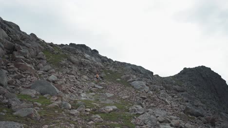 Woman-Hiker-With-Her-Pet-Dog-In-The-Mountain-In-Salberget,-Norway---wide