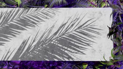a shadow of tropical palm leaves on white concrete wall with green jungle foliage frame. nature inspired template background. summer vacation and botanical concept. design for banner. vertical