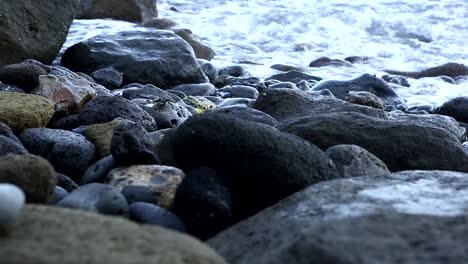 Paseos-De-Cangrejos-En-Las-Rocas-Junto-Al-Mar