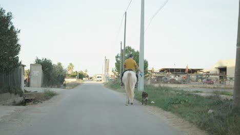 man on horse riding through country road with a dog