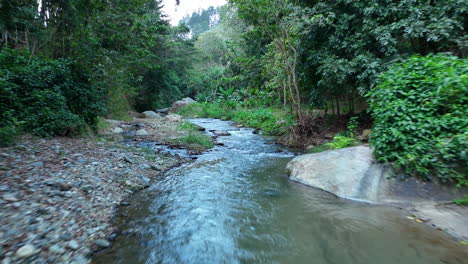 Bach-Mit-Alter-Brücke-Im-Exotischen-Mangrovenwald-Der-Dominikanischen-Republik