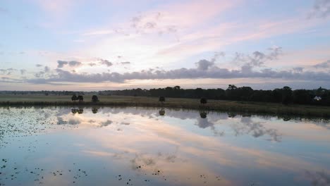 Aerial-Reverse-Dolly-of-Florida-Wetlands-Reflective-Still-Waters-at-Sunrise-Water-to-Grass