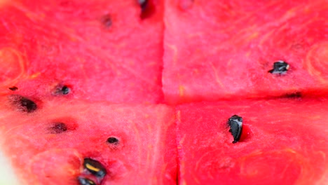 water melon rotation