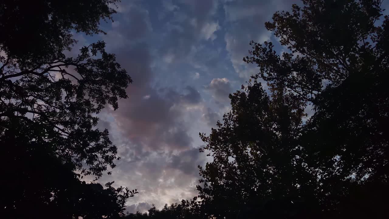 nubes rosas y azules de la tarde a la noche a través de la apertura en los árboles pov de lapso de tiempo