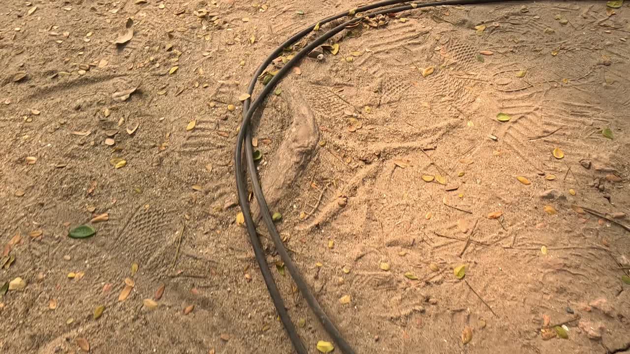 продолжительный шнур разворачивается на грязной земле