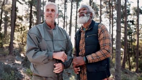 two senior men hiking in a forest