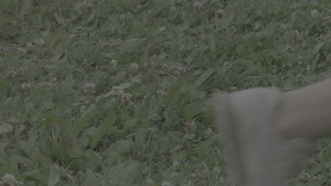 shot of a man walking by with camping gear in the grass in slowmotion log