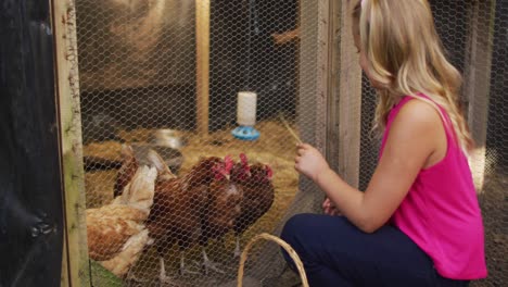 happy caucasian girl playing with hens, kneeling by hen house in garden