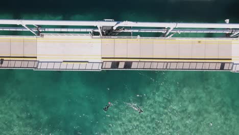 people spearfishing for fish under a popular city ocean jetty walkway