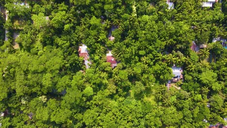 casas de aldeas indígenas en el remoto bosque tropical rural del amazonas, aérea de arriba hacia abajo