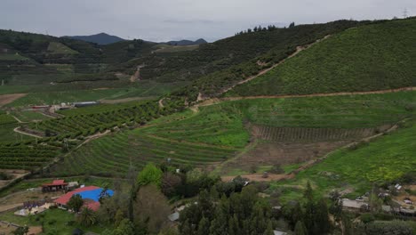 colinas de pomaire, comuna de melipilla, chile