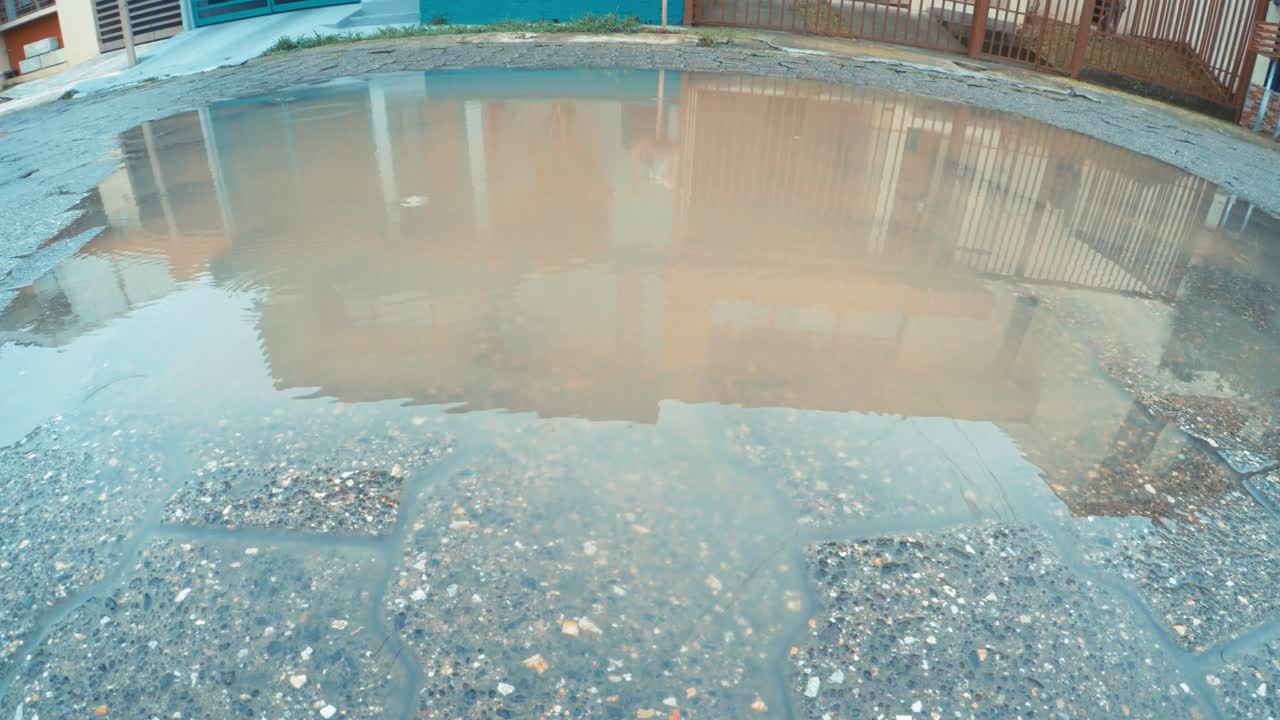 거리의 작은 웅이에 약간의 비가 내립니다.