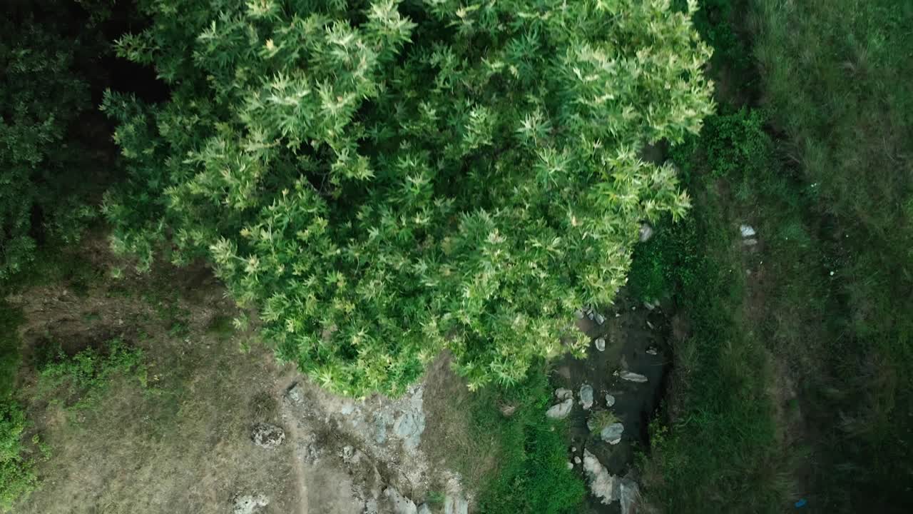 clips que demuestran la belleza natural de un campo en grecia