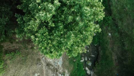 clips que demuestran la belleza natural de un campo en grecia