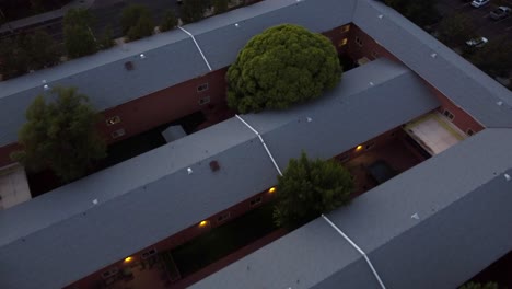 tree overtaking dormitory on university campus