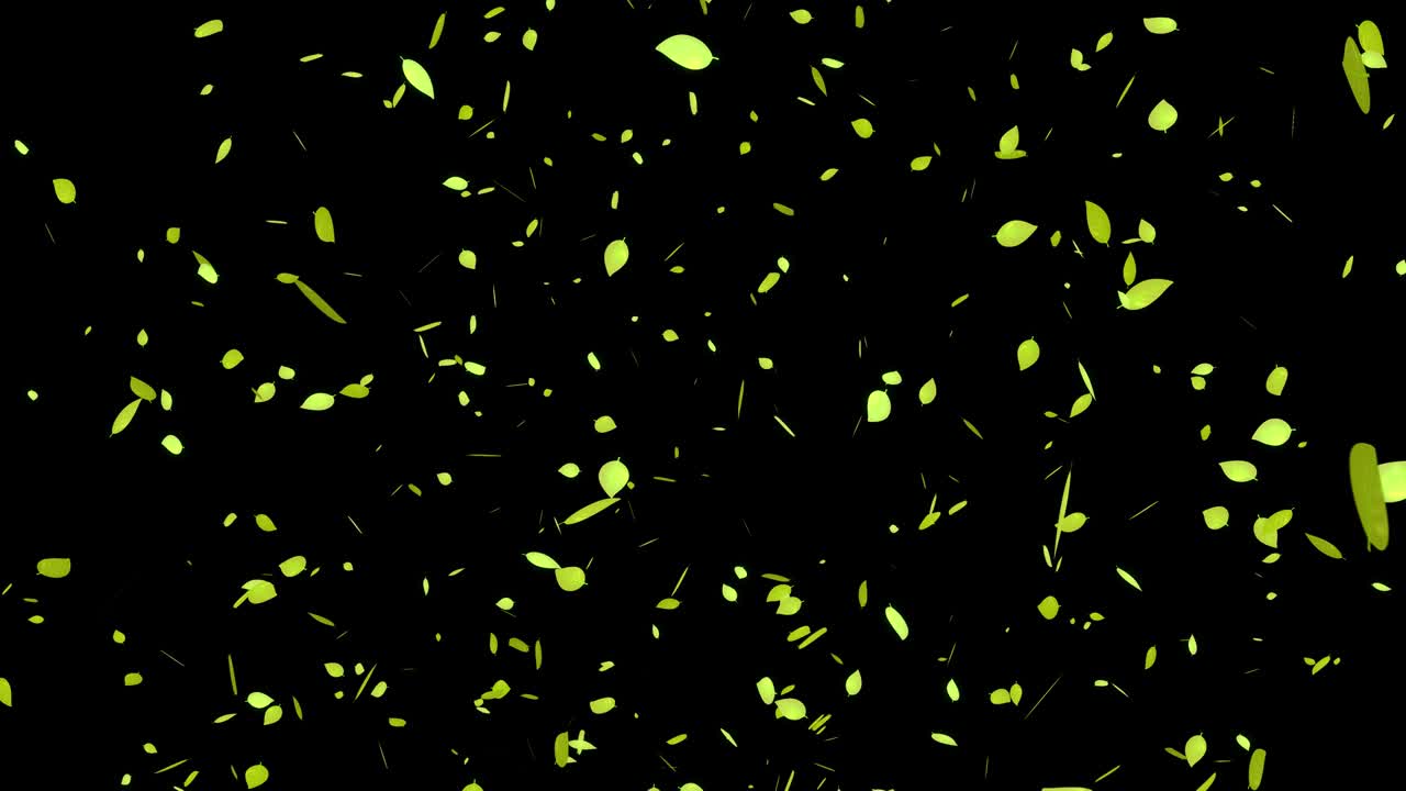 노란색 죽은 잎, 가을의 잎, 추석, 떠오르는 입자, 모션 그래픽