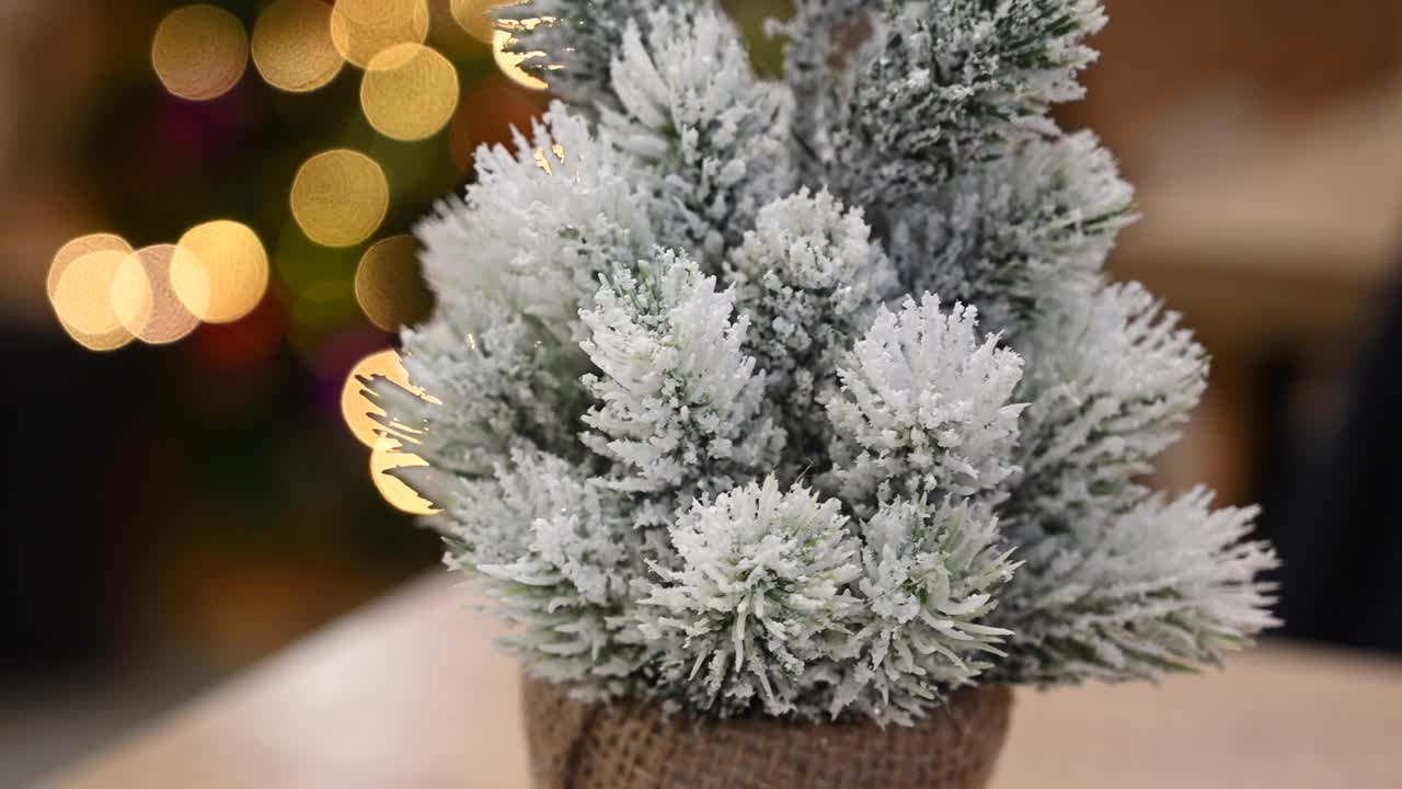 Close up of a small Christmas tree decoration on a table at a restaurant