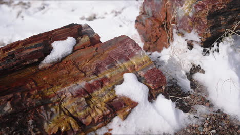 gimbal shot of petrified wood in the petrified forest