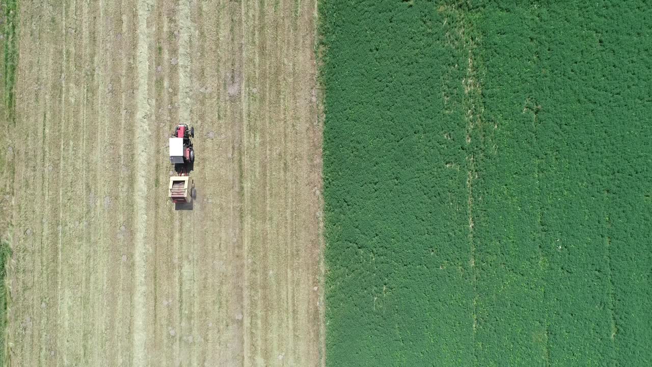 tierras agrícolas aéreas de arriba hacia abajo divididas en dos colores, trabajo de temporada de cosecha en curso
