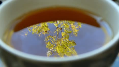 nice cup of tea with the reflection of nature and suddenly a tea bag is deposited