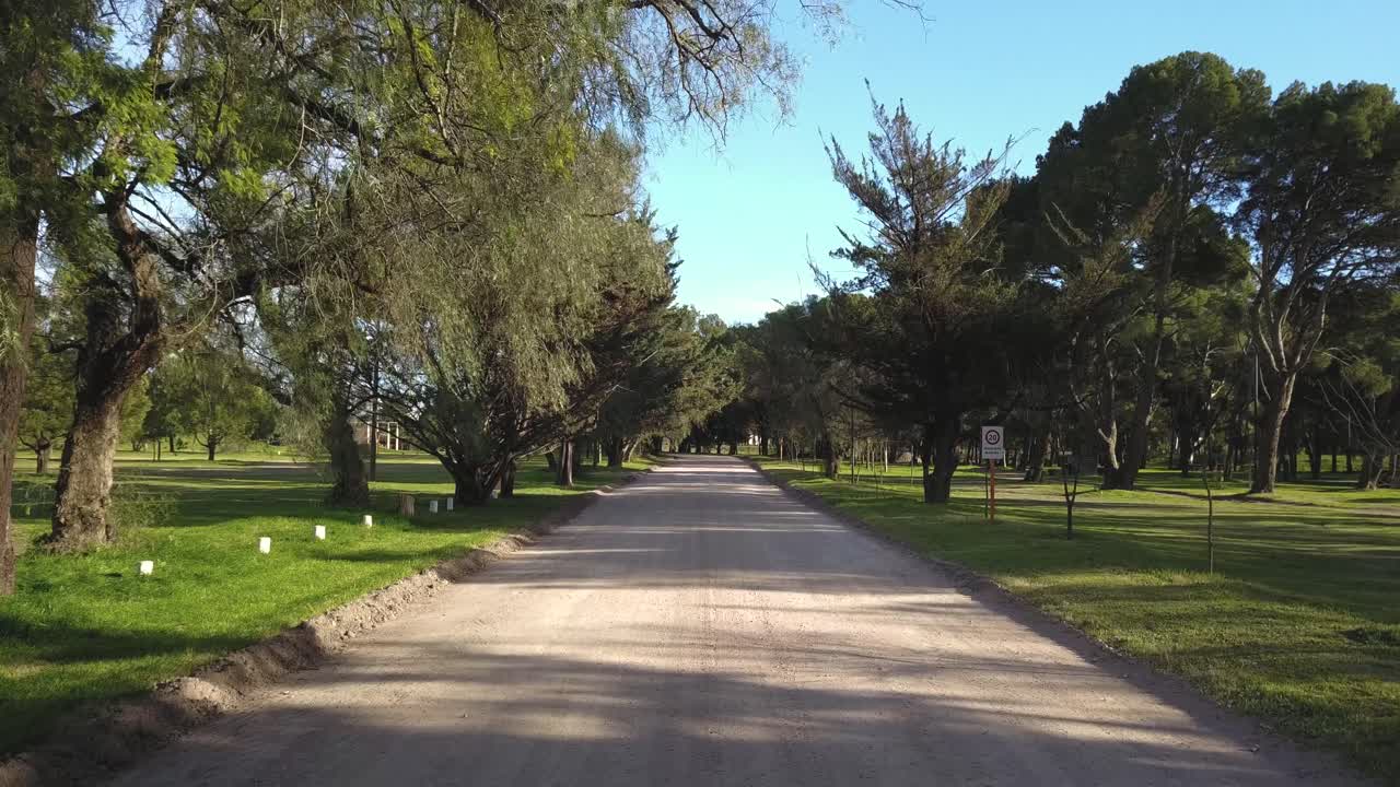 cámara moviéndose a lo largo de un camino de tierra vacío en un parque con árboles a ambos lados