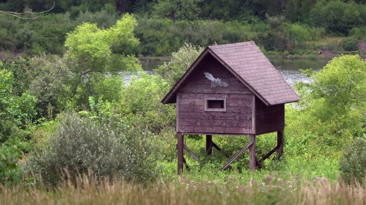 una casa de murciélagos sobre pilotes en un área silvestre protegida